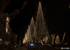 December is coming so far !