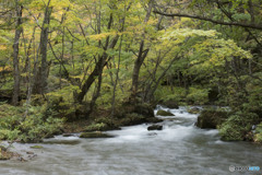 渚にて涙ぐむ