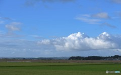 another sky【一家を送る空】