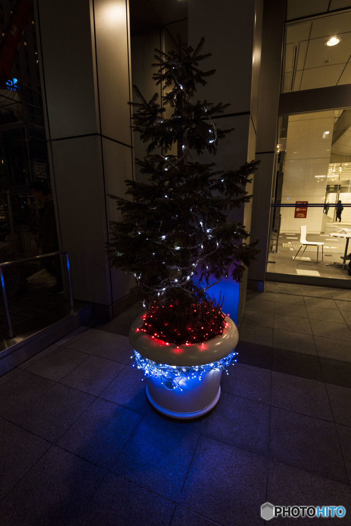 ひとりぼっちのツリー