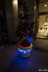 ひとりぼっちのツリー