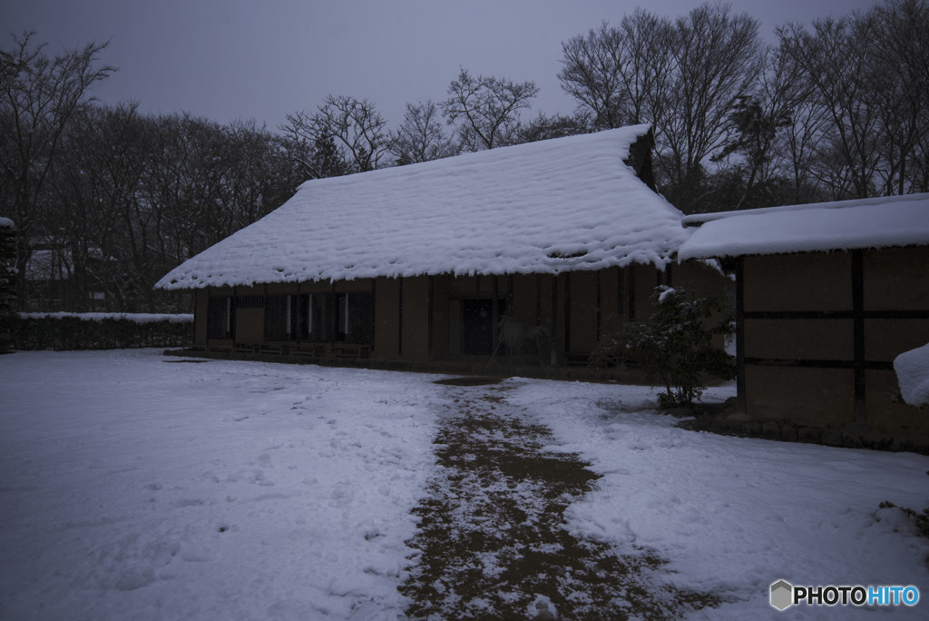 春が訪れる為の歩く