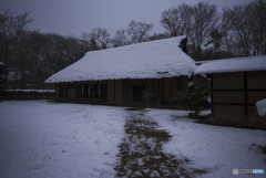 春が訪れる為の歩く