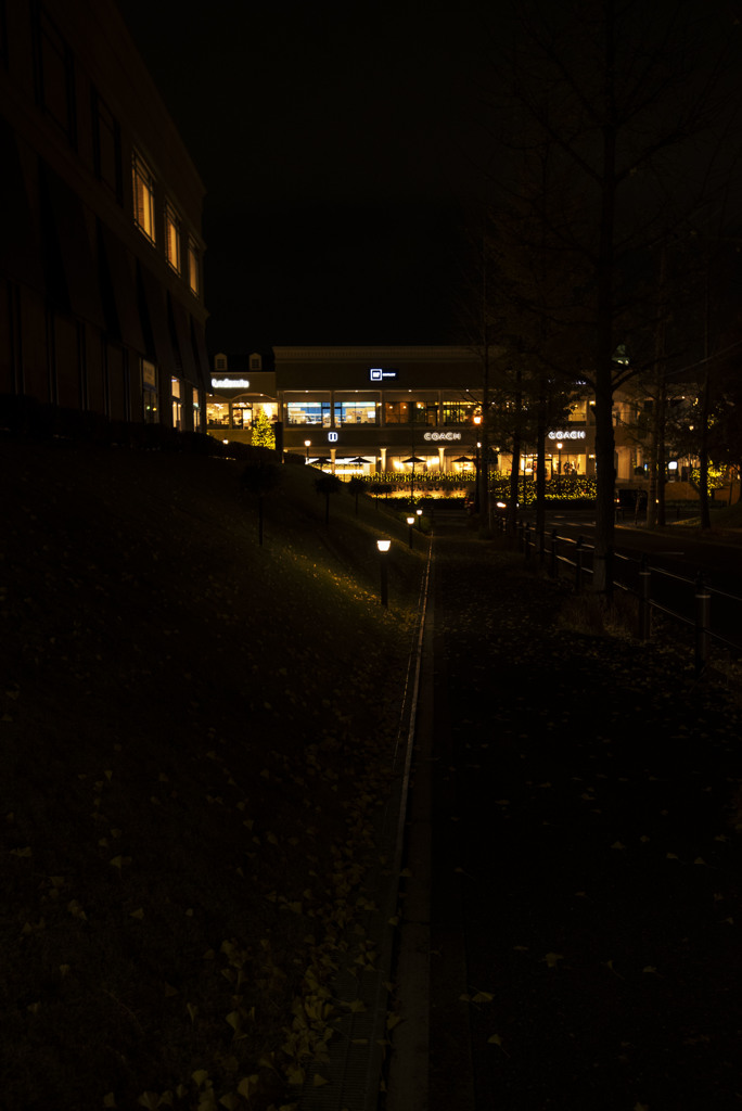 以外に暖かな夜