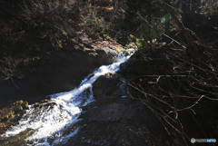 初めて見せる表情