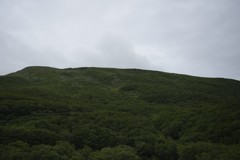 やさしさに偽りはないけど