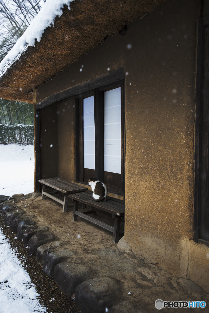 なにを思い考えるのか？