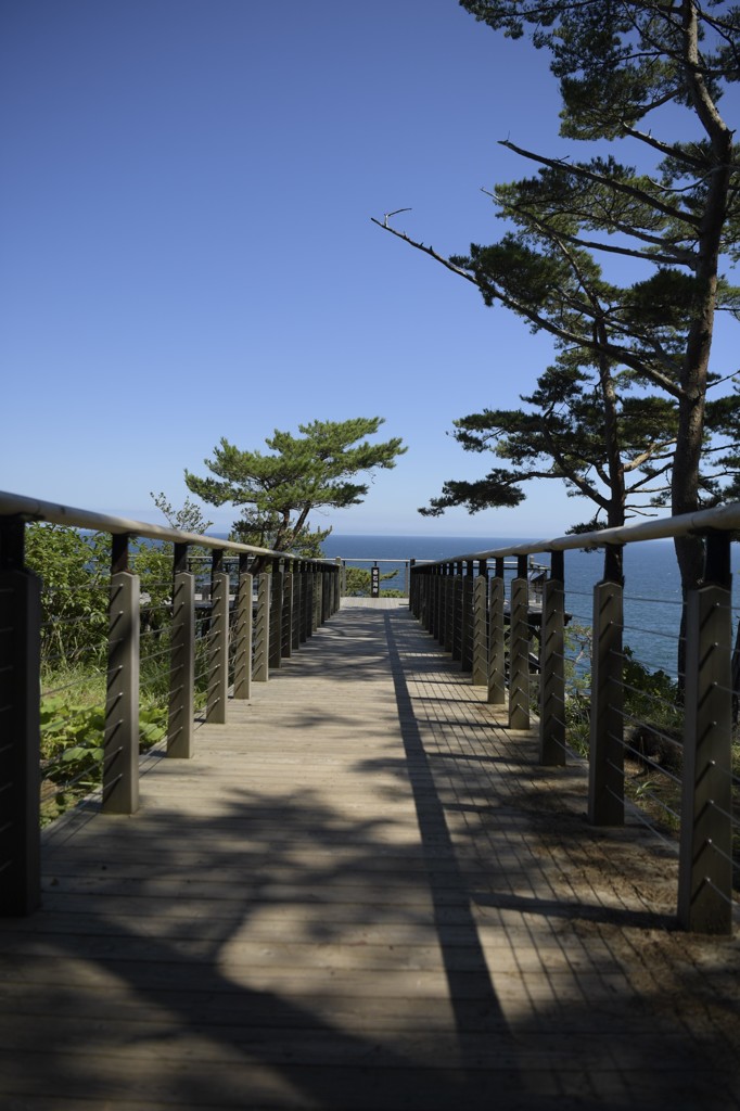 愛おしい人よGood-Bye