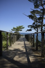 愛おしい人よGood-Bye