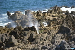 これは？【違いますね～】