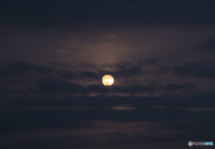 この前の満月（宮城県　金成）