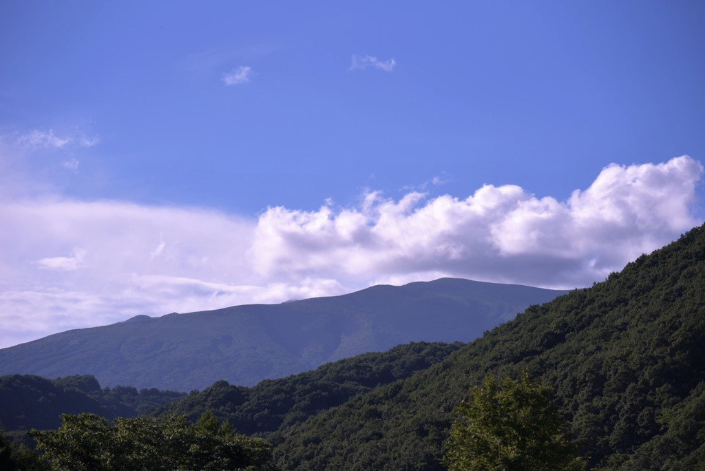 あの山を越えて来た