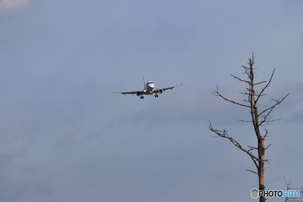 Still the wind was blue.