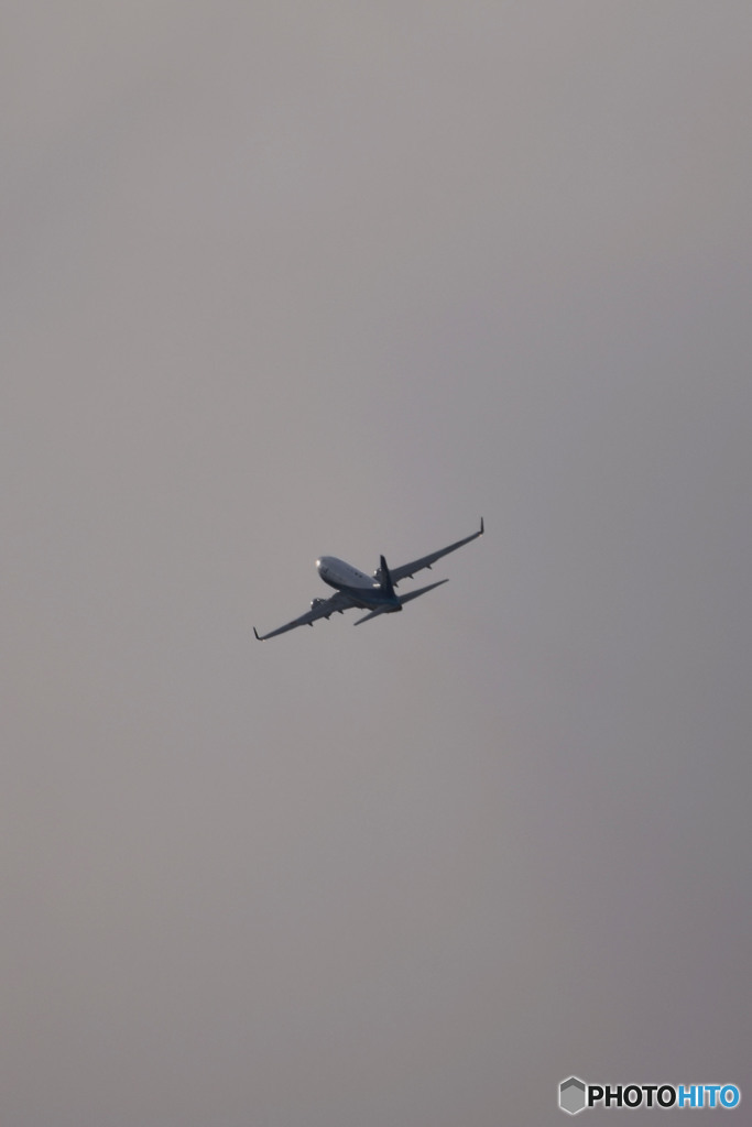 Which do you choose, pictures and music?