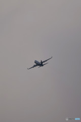 Which do you choose, pictures and music?