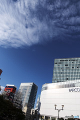 Sadness softly gathers up in the heart