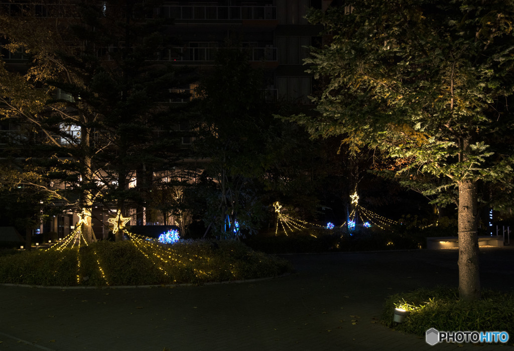 綺麗さと悲しみは背中合わせ。