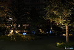 綺麗さと悲しみは背中合わせ。