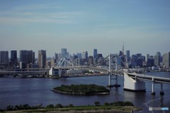 シンボルは健在です。