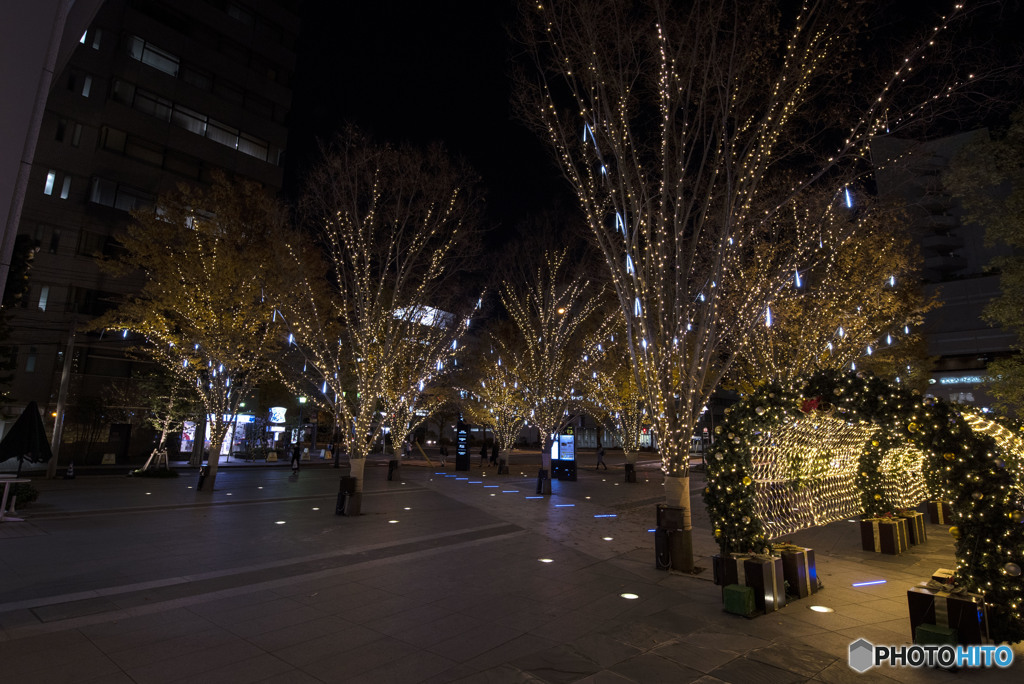 このまま世界が終ると言うなら、雪降る聖夜も恋には落ちない。