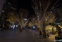 このまま世界が終ると言うなら、雪降る聖夜も恋には落ちない。
