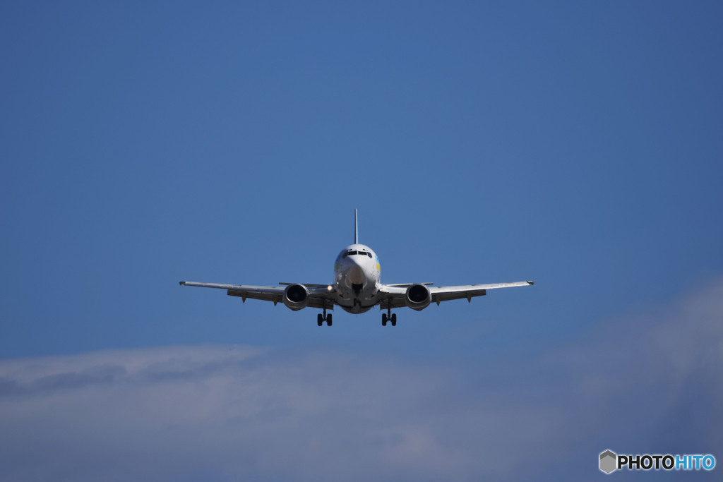 Please give me a landing permit