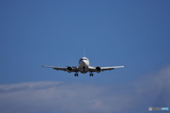 Please give me a landing permit