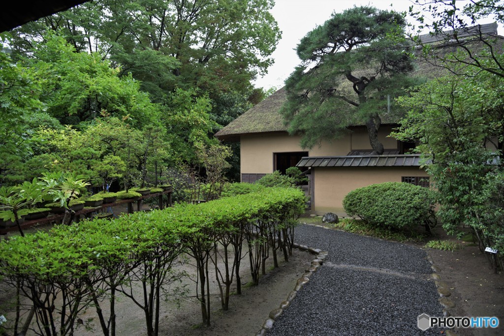 優しい雨