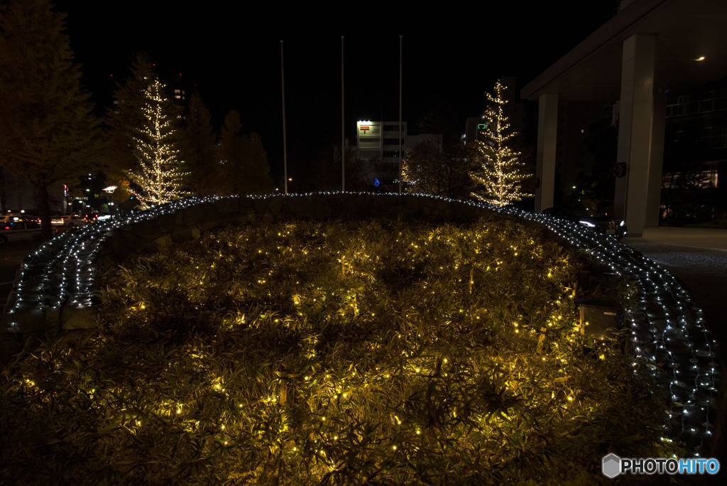 だけども小舟は明日の海を行く