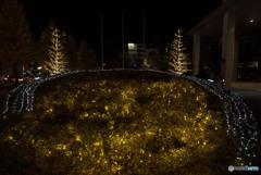 だけども小舟は明日の海を行く