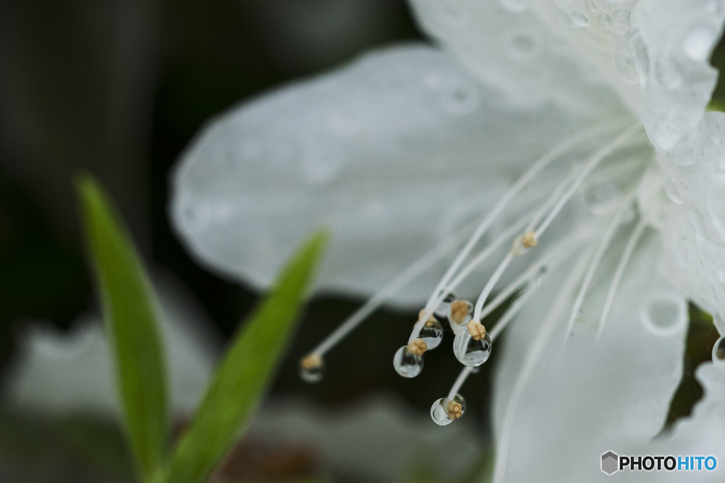 すべて自然です。