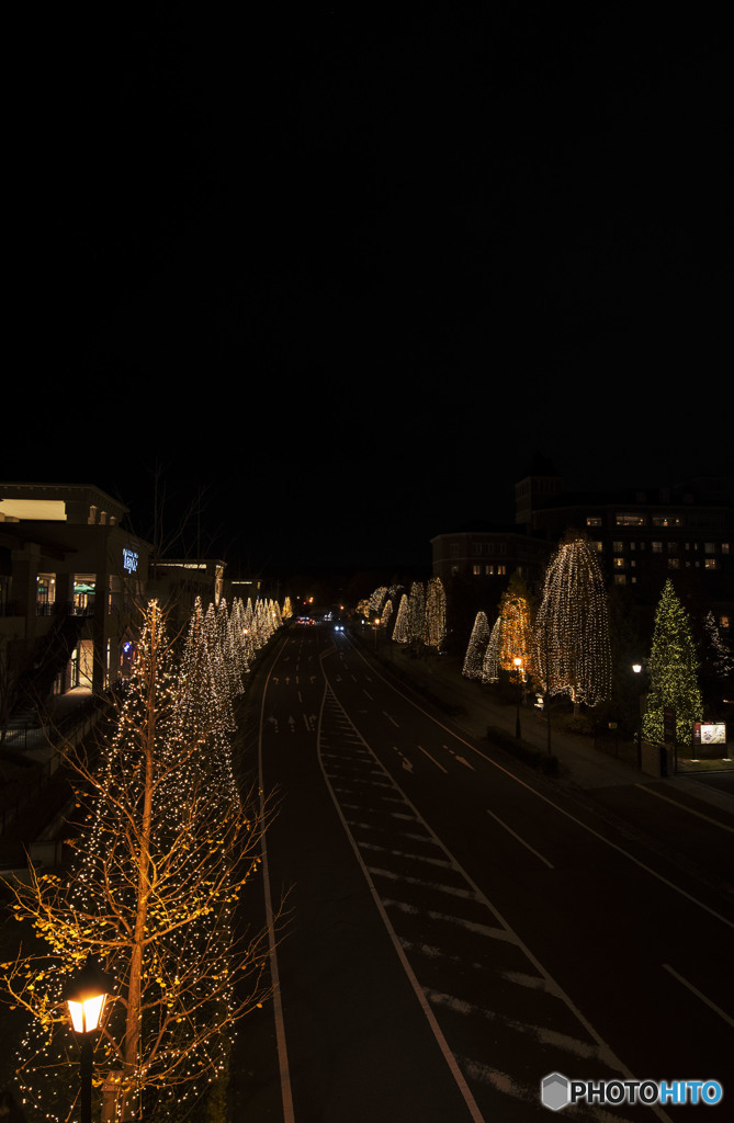 月の欠片と昨日の僕さ