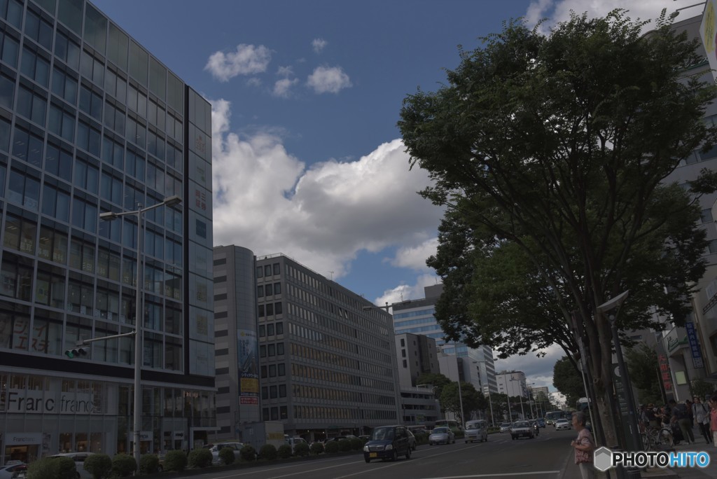 言葉が見つからない。