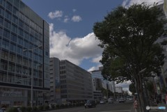言葉が見つからない。