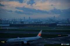 ライトアップされる鶴丸