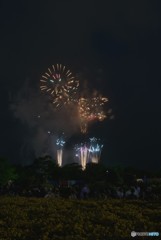 怒る花火