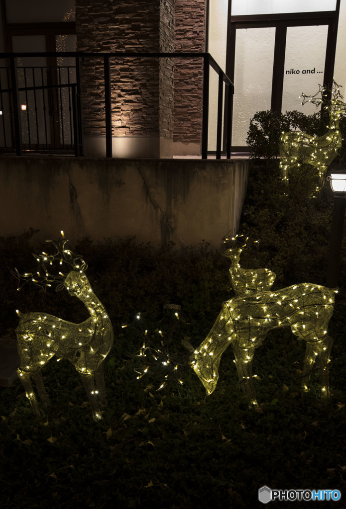 Honesty that seems cute