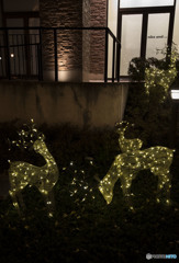 Honesty that seems cute