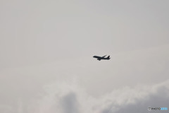 Why do airplanes fly?