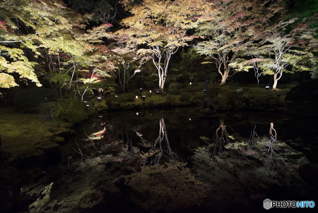 Autumn leaves reflected in the pond