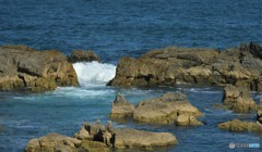 梅雨明けしました！