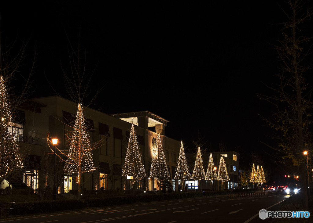 The night sky I look up