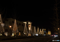 The night sky I look up