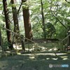 神聖な階段を登ると。