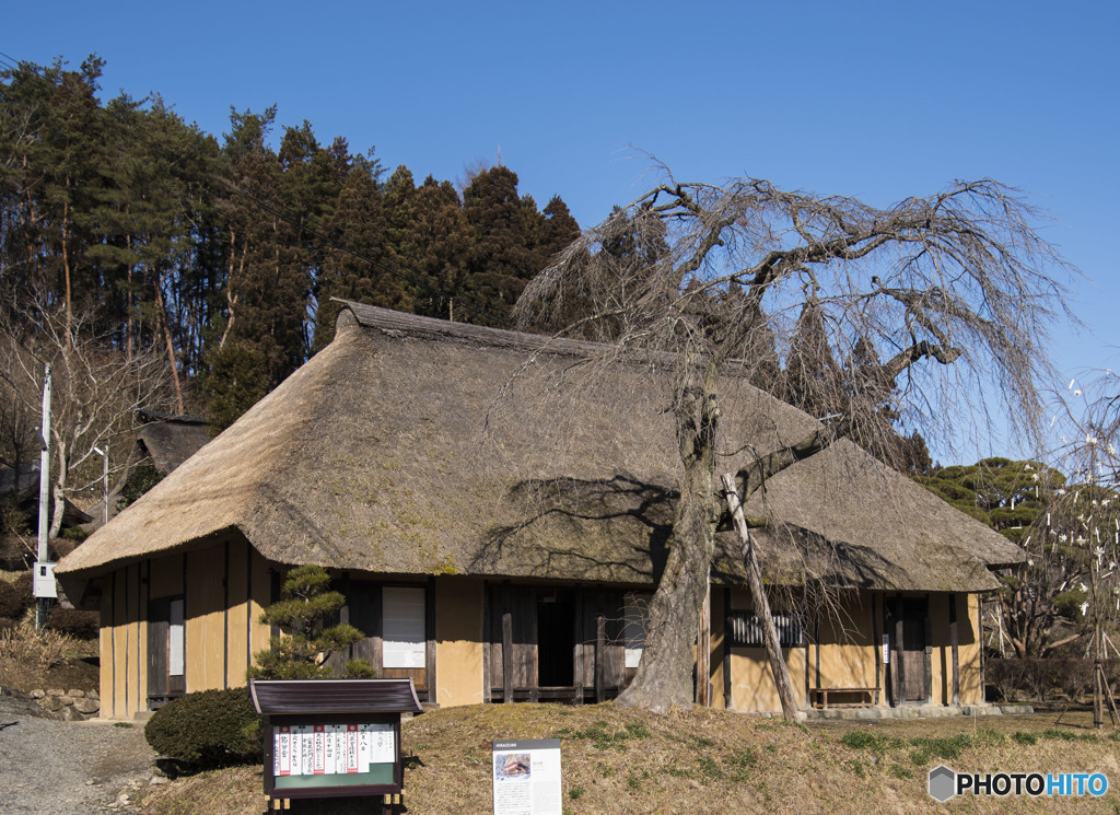 逢いたくなった時に君はここに居ない。