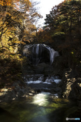 若し貸して来週再開するかも