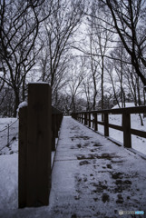 憎い、恋しい、憎い、恋しい曇り空ならいつも逢いたい。