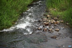 綺麗な水でした。