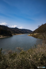静かに春を待つ