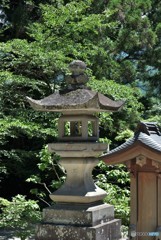 寒さもつらいけど暑さもつらい